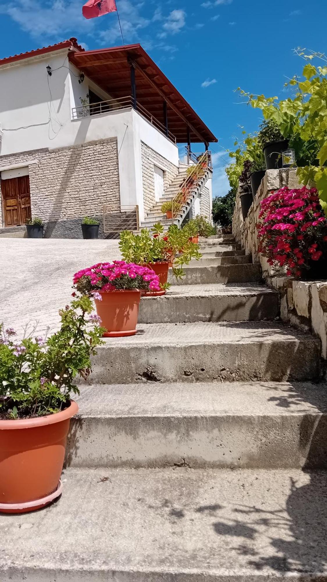 Villa Rexho Berat Exterior photo